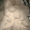 MDMA for sale online - Buy Molly online